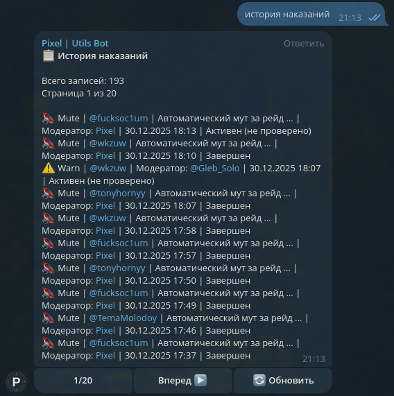 Пример работы команды /punishhistory